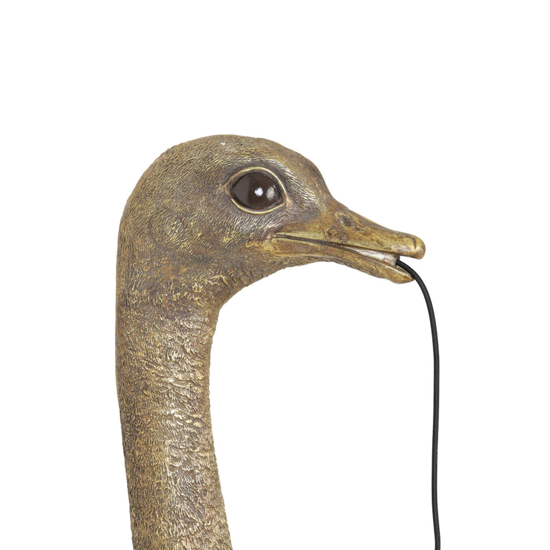 OSTRICH Antique Bronze Wall Light