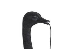 OSTRICH Matt Black Wall Lamp